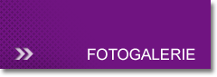 Fotogalerie